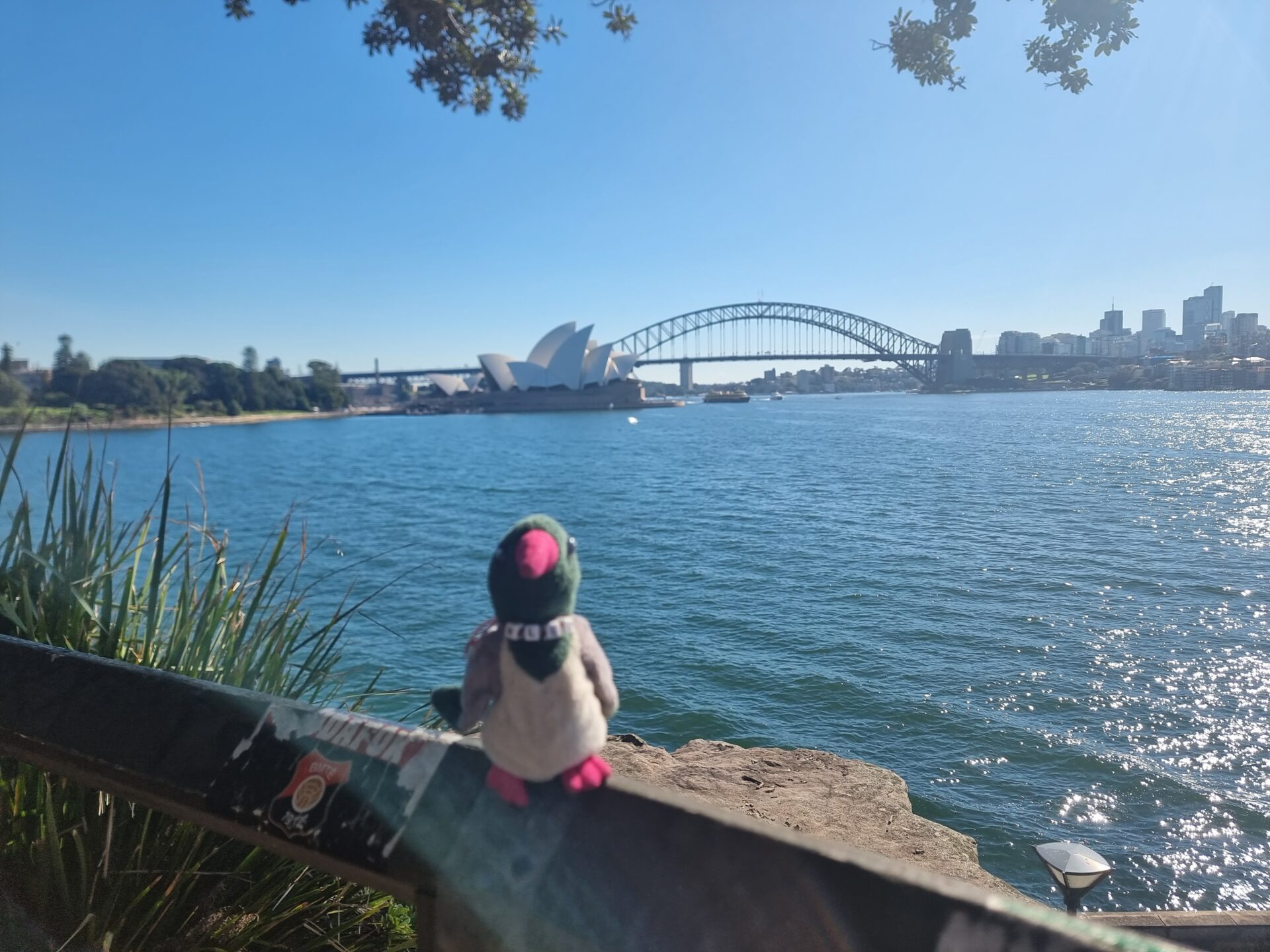 Monday Morning Chorus – May 20th